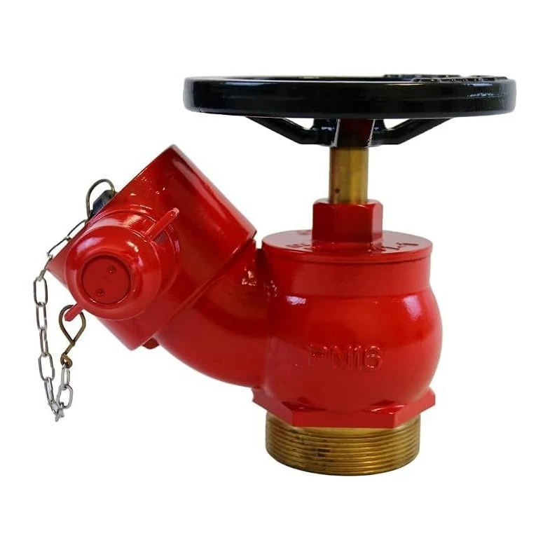 Aspida® Inlet Oblique Landing Valve